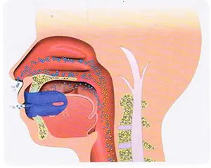 myOSA® สำหรับเด็ก