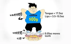 การวางลิ้น